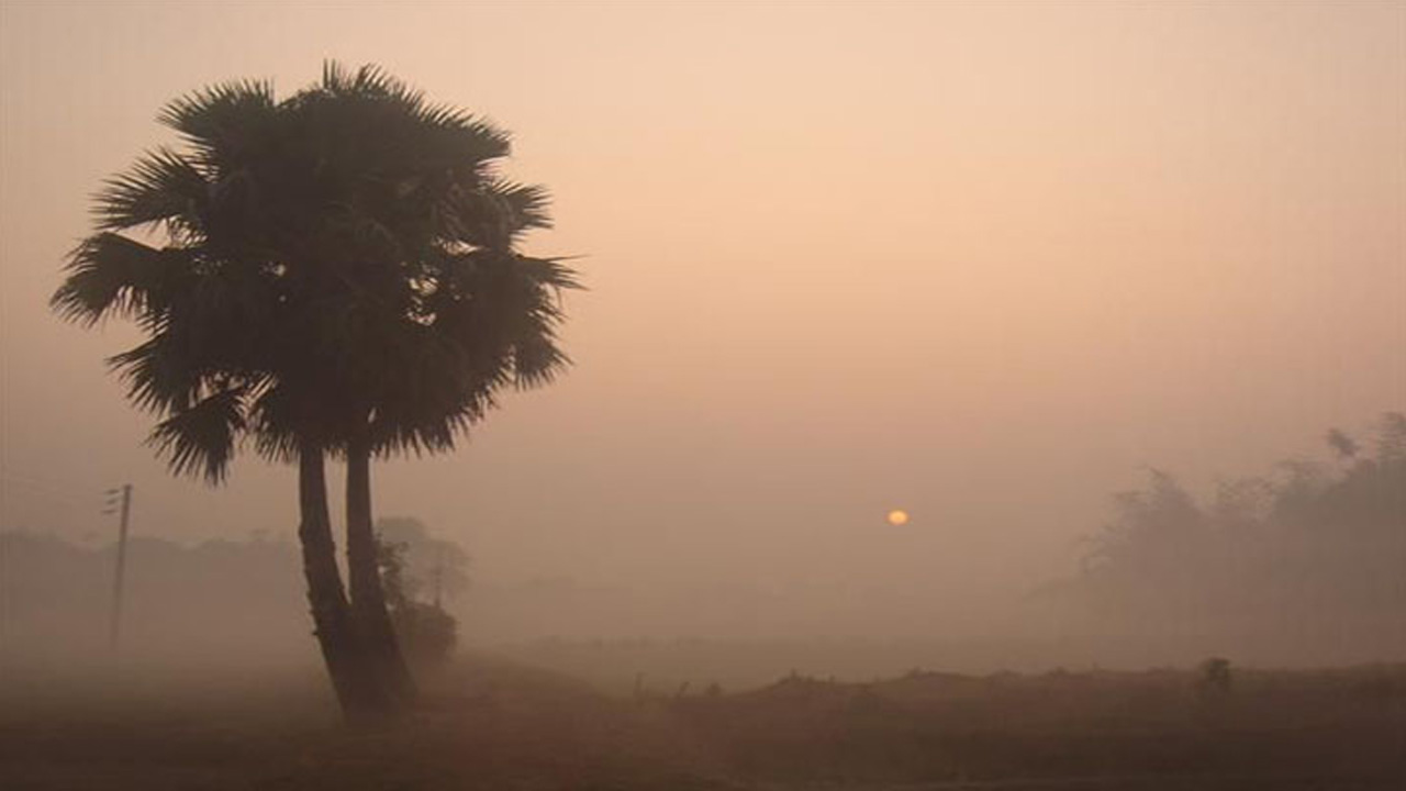 কুয়াশাচ্ছন্ন শীতের সকাল। পুরোনো ছবি