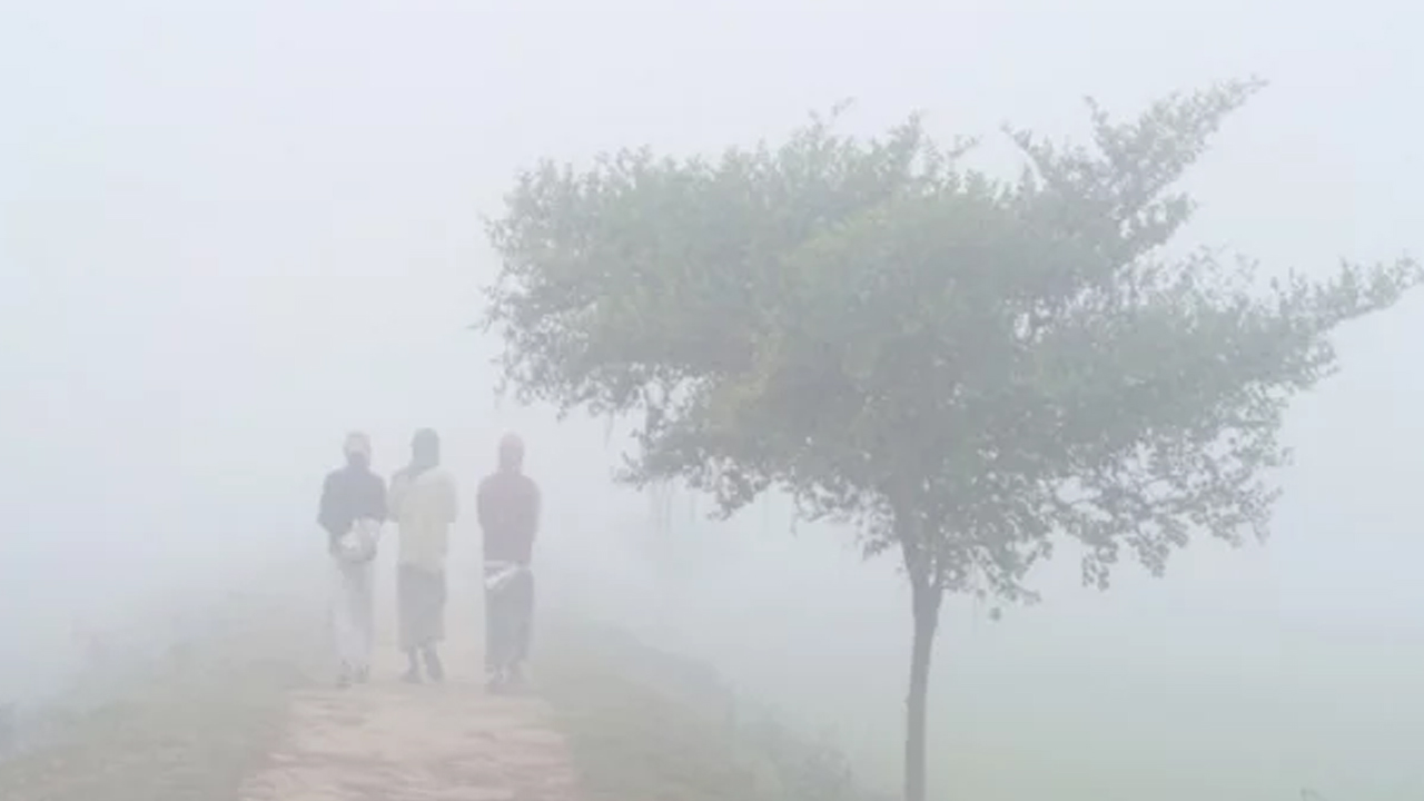পুরোনো ছবি