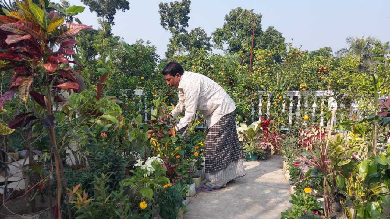 নিজের ছাদবাগান পরিচর্যা করছেন ইয়ারব হোসেন। ছবি : কালবেলা