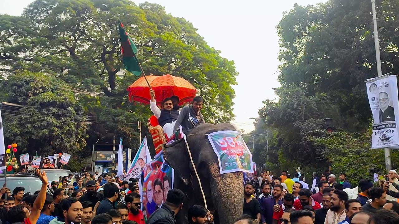 মঙ্গলবার হাতির পিঠে চড়ে আওয়ামী লীগের বিজয় শোভাযাত্রায় যোগ দেন জাতীয় সংসদ নির্বাচনে ঢাকা-৬ আসনে নৌকা প্রতীকের প্রার্থী মোহাম্মদ সাঈদ খোকন। ছবি : কালবেলা