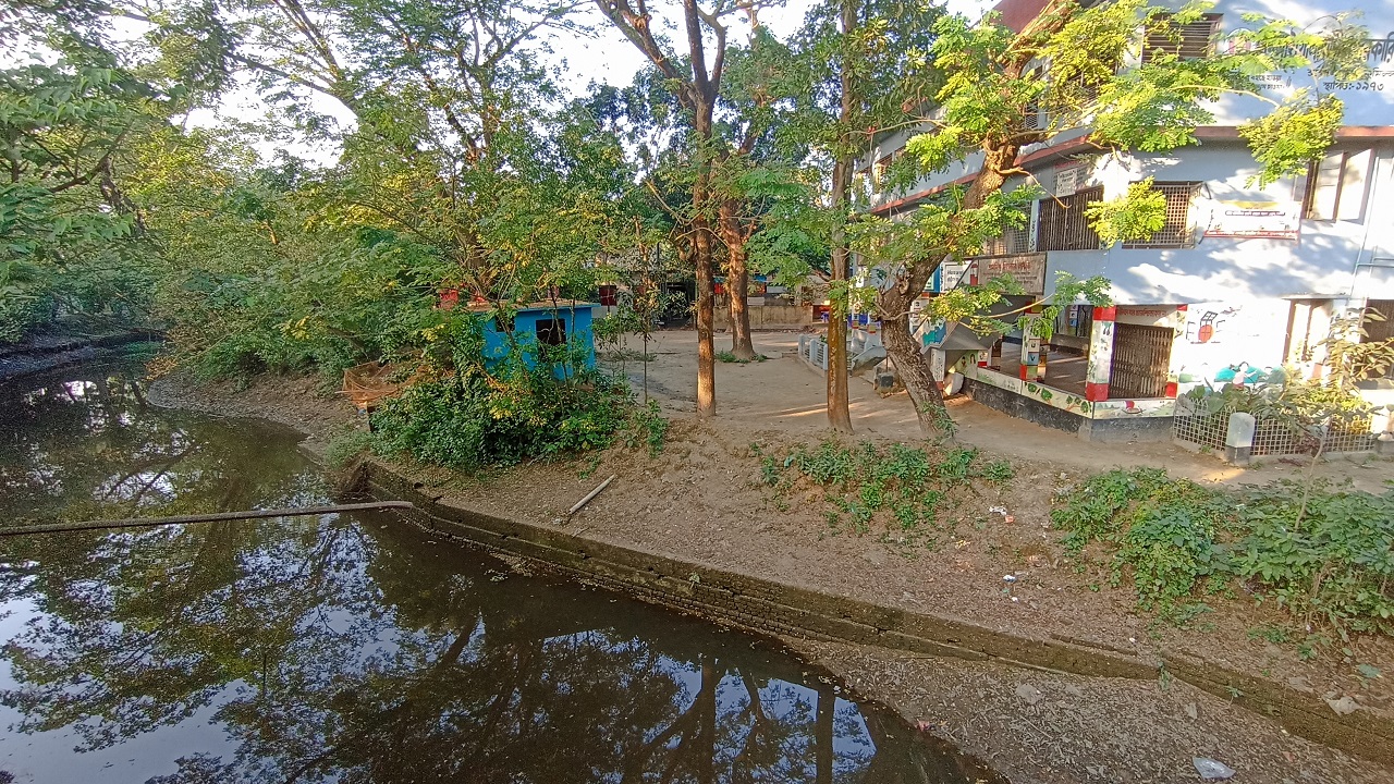 ব্রাহ্মণপাড়া আদর্শ সরকারি প্রাথমিক বিদ্যালয়ের পাশেই উন্মুক্ত জলাশয়। ছবি : কালবেলা