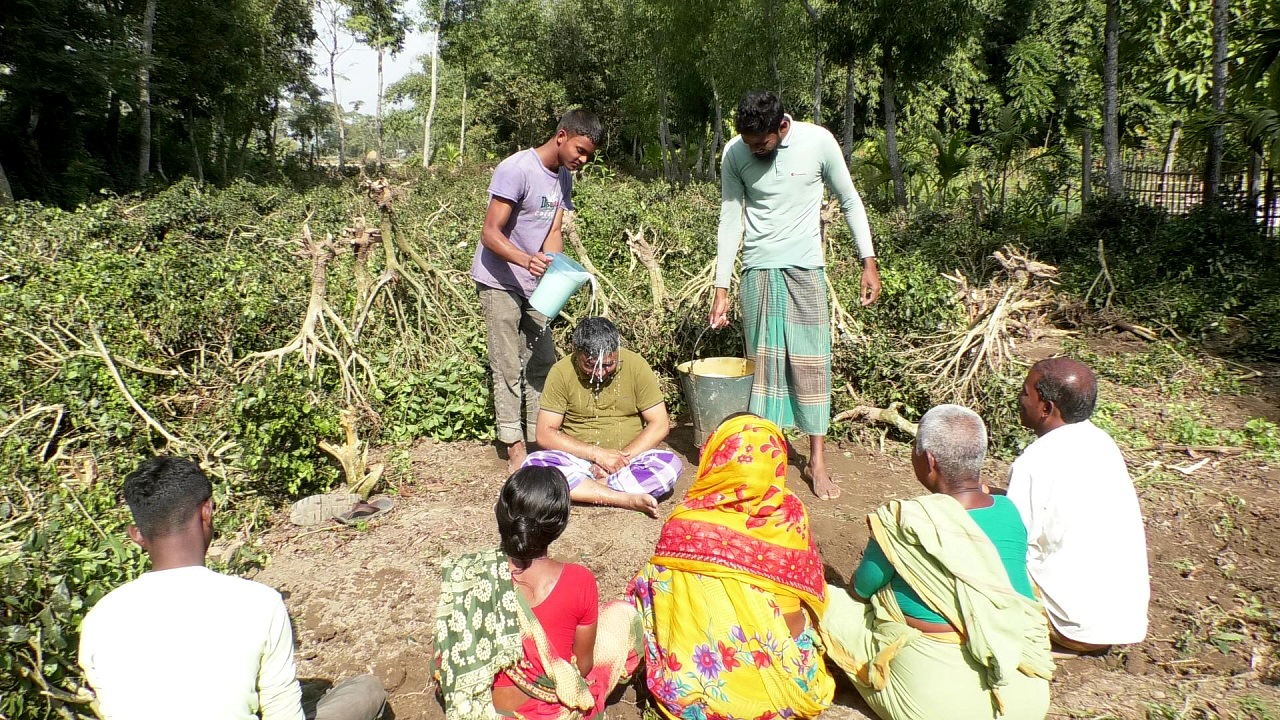 বাগানের গাছ উপড়ে ফেলে দুধ দিয়ে গোসল করেন শাহজালাল। ছবি : কালবেলা