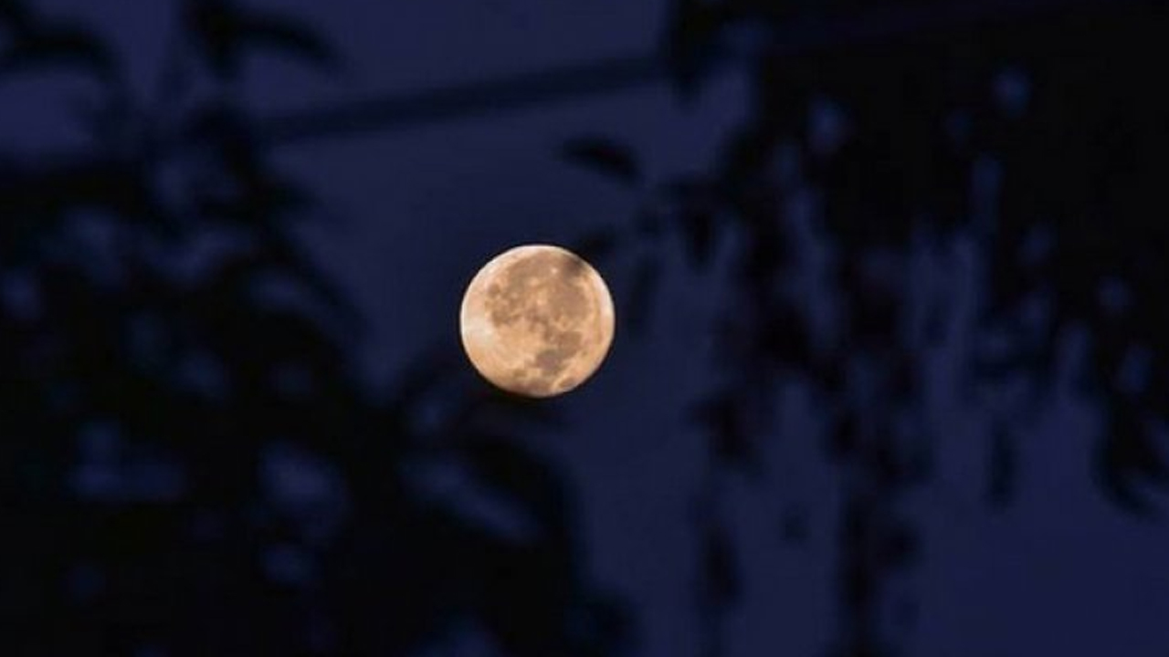 প্রতীকী ছবি