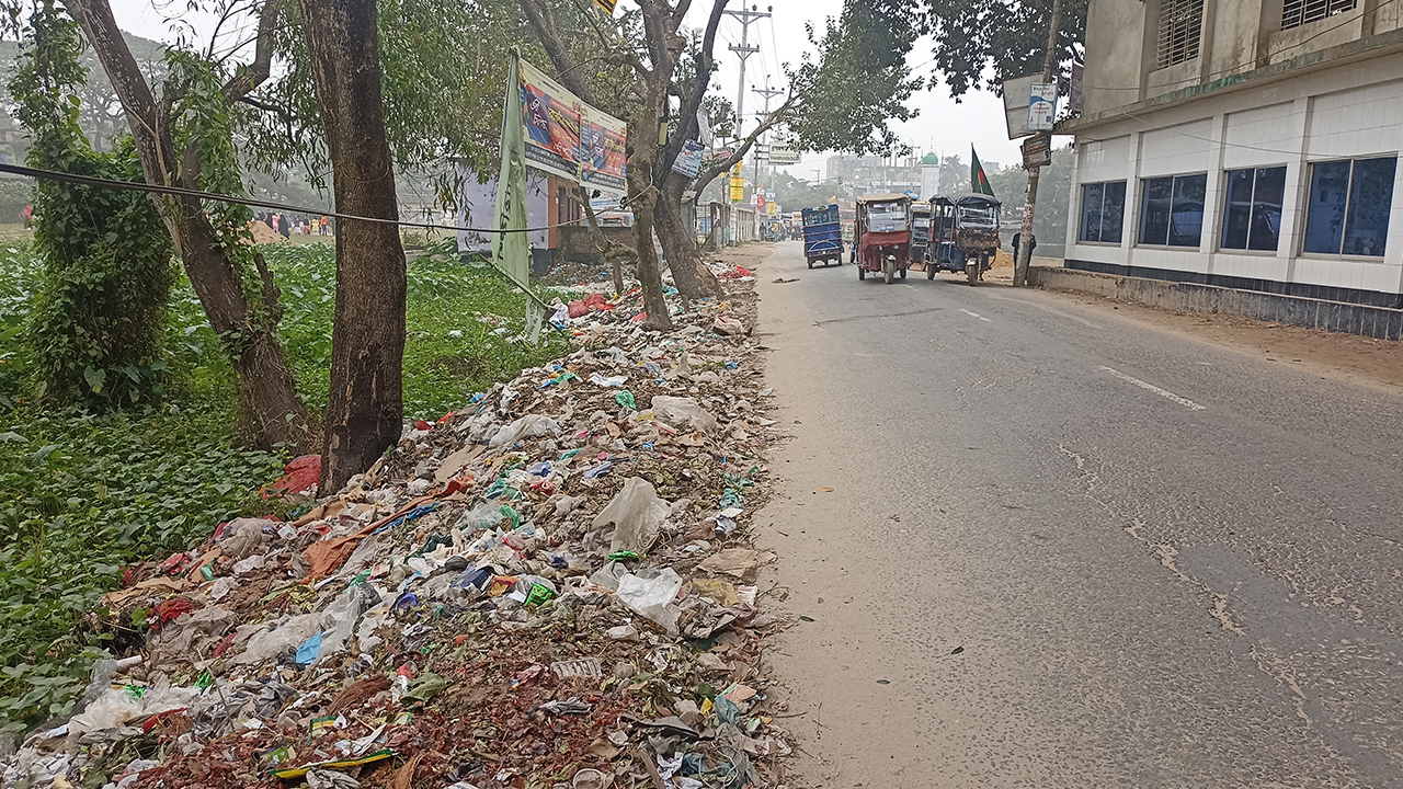 কুমিল্লার ব্রাহ্মণপাড়া উপজেলায় সড়কের পাশে ময়লার ভাগাড়। ছবি : কালবেলা