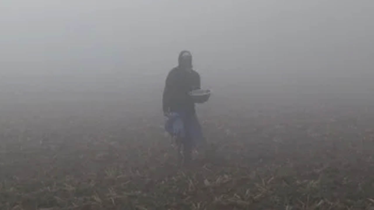পুরোনো ছবি