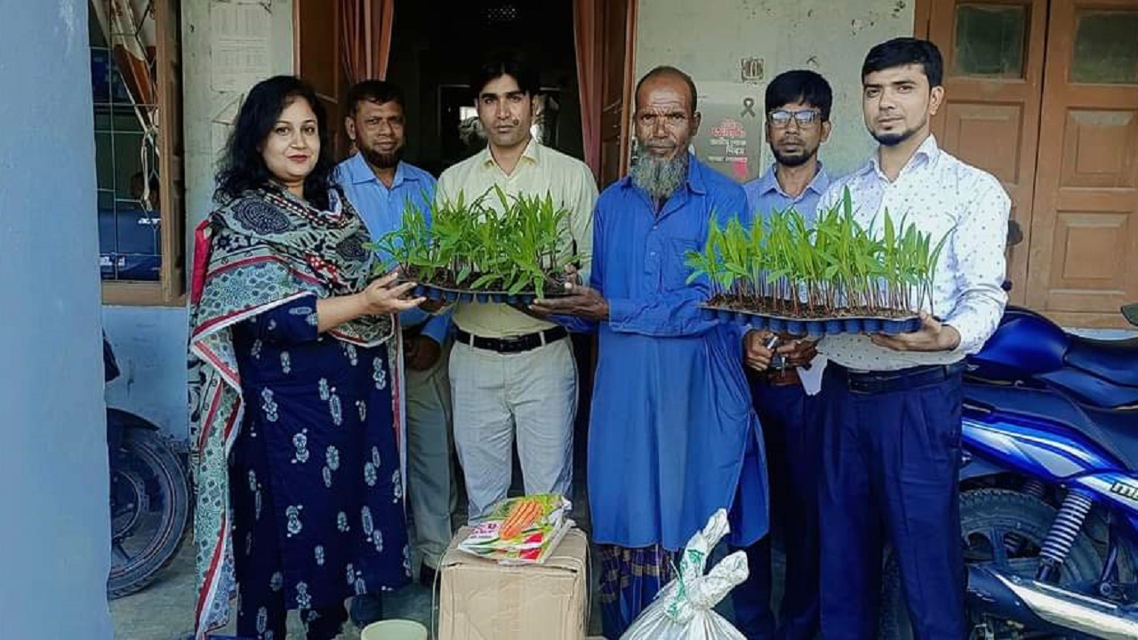 ট্রে পদ্ধতিতে ভুট্টা ফসলের বীজ থেকে চারা উৎপাদন। ছবি : কালবেলা