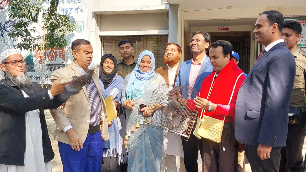 উদ্ধার করা ৬টি ঘুঘু পাখি অবমুক্ত করা হয়। ছবি : কালবেলা