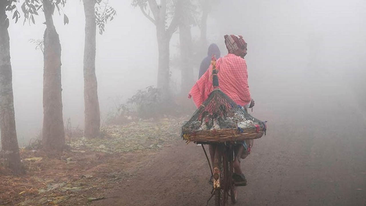 পুরোনো ছবি