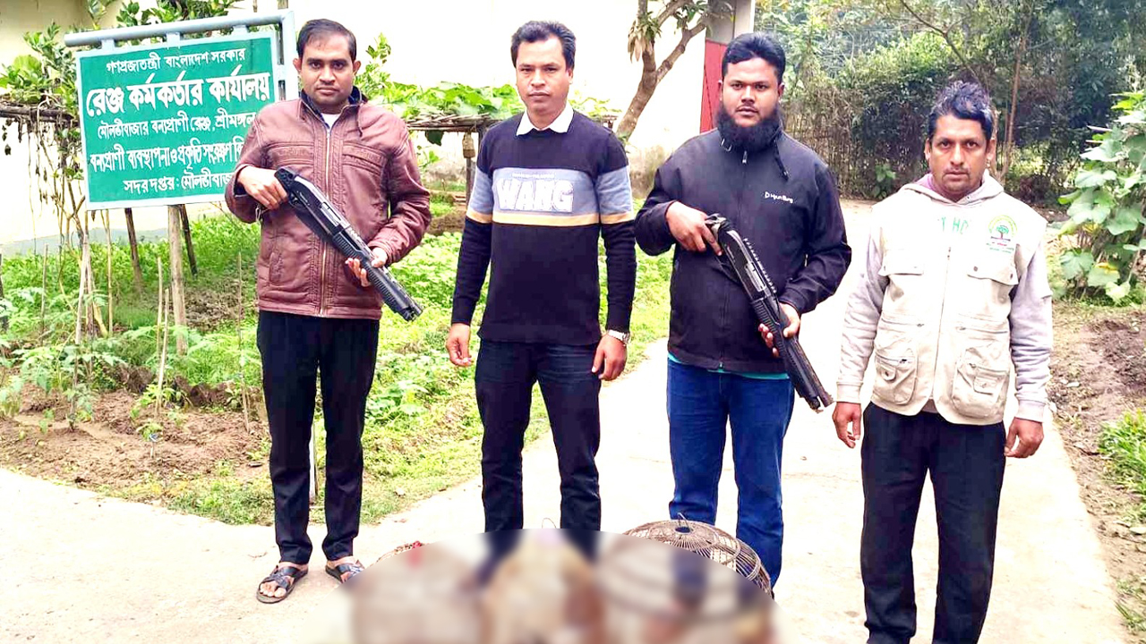 শ্রীমঙ্গলে উদ্ধারকৃত পাখি। ছবি : কালবেলা
