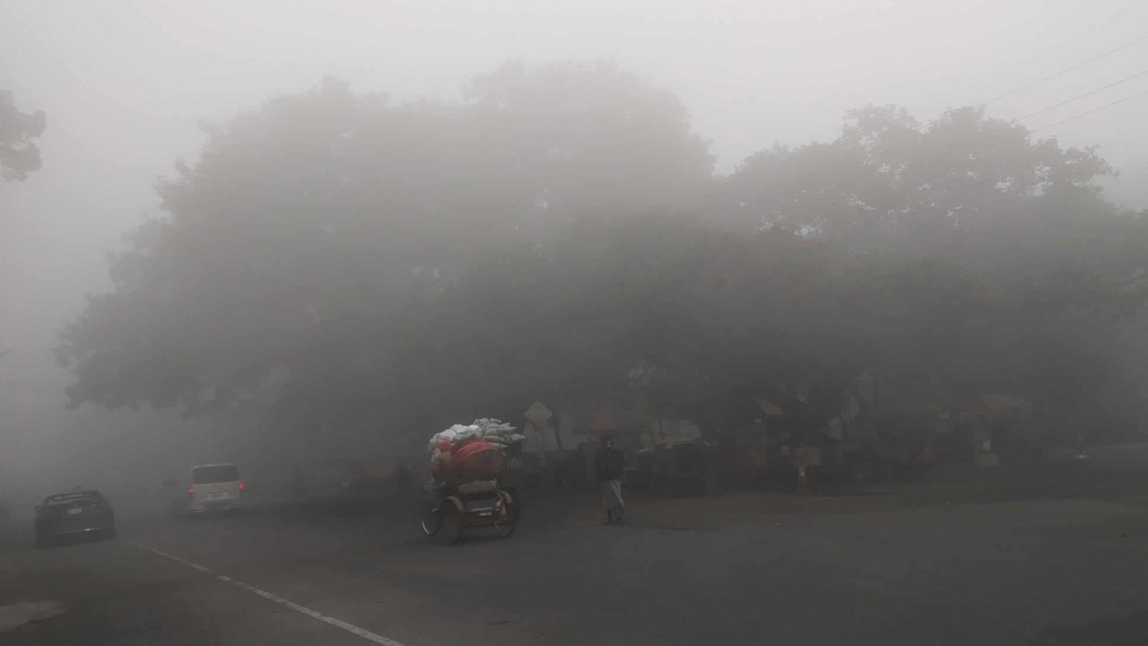কুয়াশাচ্ছন্ন রাজধানী। ছবি : কালবেলা