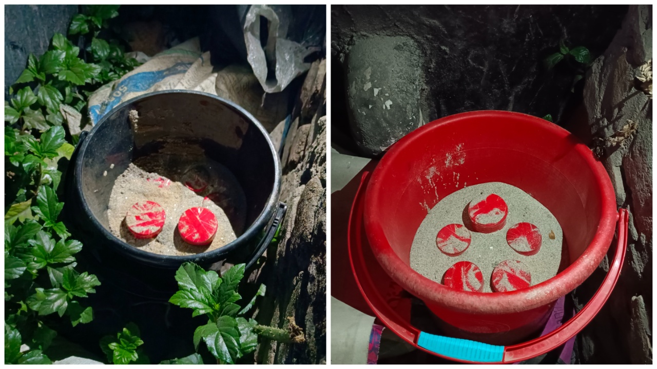 রাজশাহী মহানগরীতে একটি ভোট কেন্দ্রের পাশ থেকে দুইটি বালতিতে পরিত্যক্ত অবস্থায় ১০টি ককটেল উদ্ধার। ছবি : কালবেলা