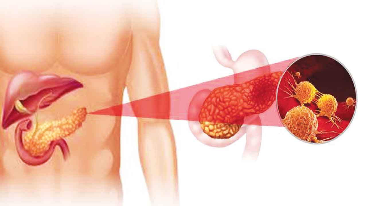 Qiz anal jinsiy aloqa paytida qarshilik korsatadi Toy kechasida birinchi jinsiy aloqani tomosha qiling