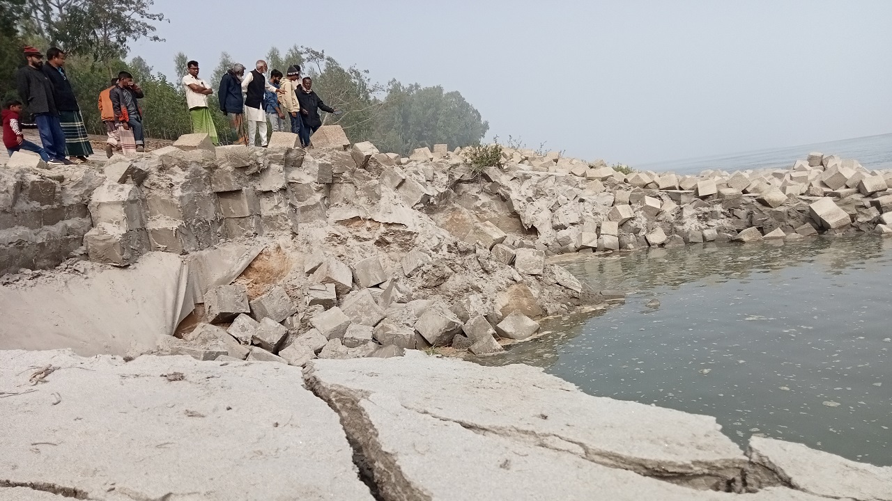 যমুনা নদীর ডান তীর রক্ষা বাঁধে ফের ভয়াবহ ভাঙন। ছবি : কালবেলা