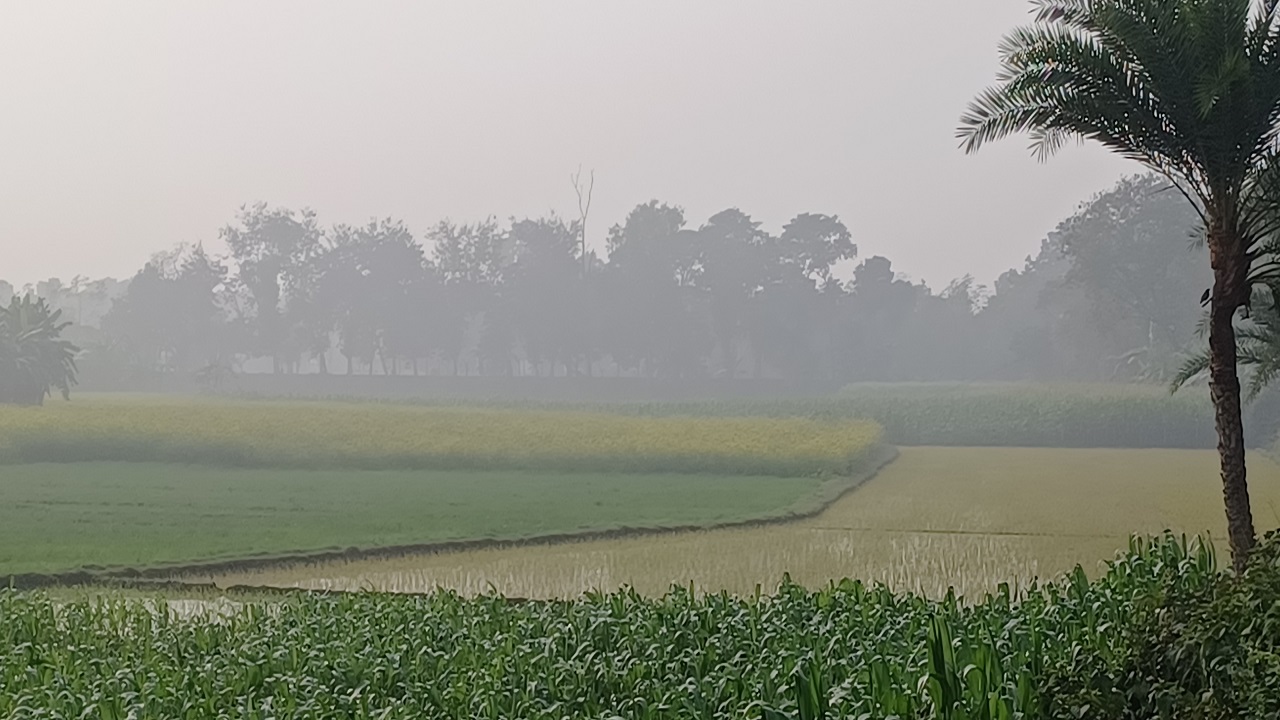 চুয়াডাঙ্গায় শীতের চাদরে মোড়া সকাল। ছবি : কালবেলা