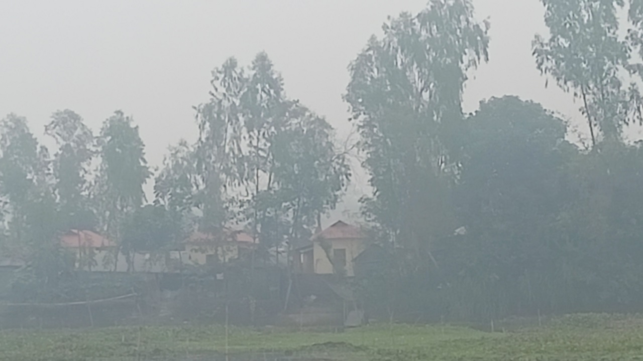 গাইবান্ধার মীরগঞ্জ থেকে তোলা। ছবি : কালবেলা