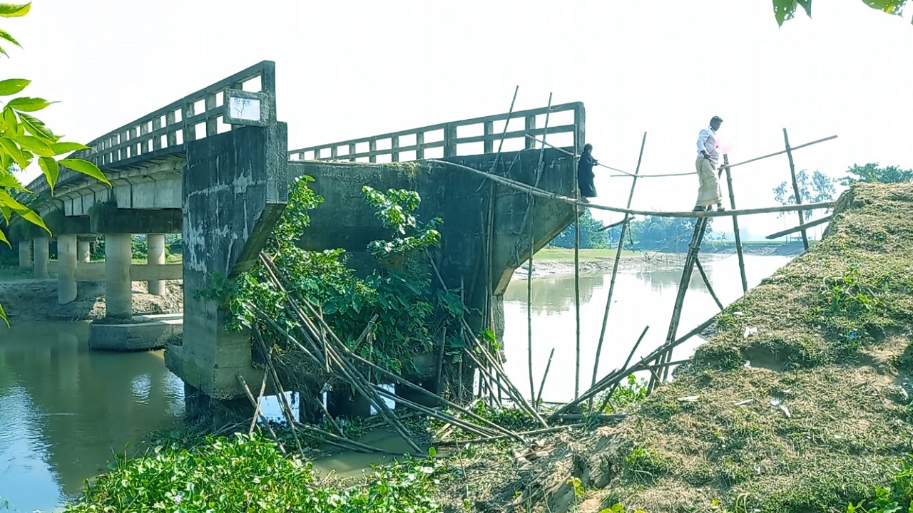 দুই পাশের প্রায় ৪ হাজার মানুষের যাতায়াতের একমাত্র পথ এই সেতু। ছবি : কালবেলা
