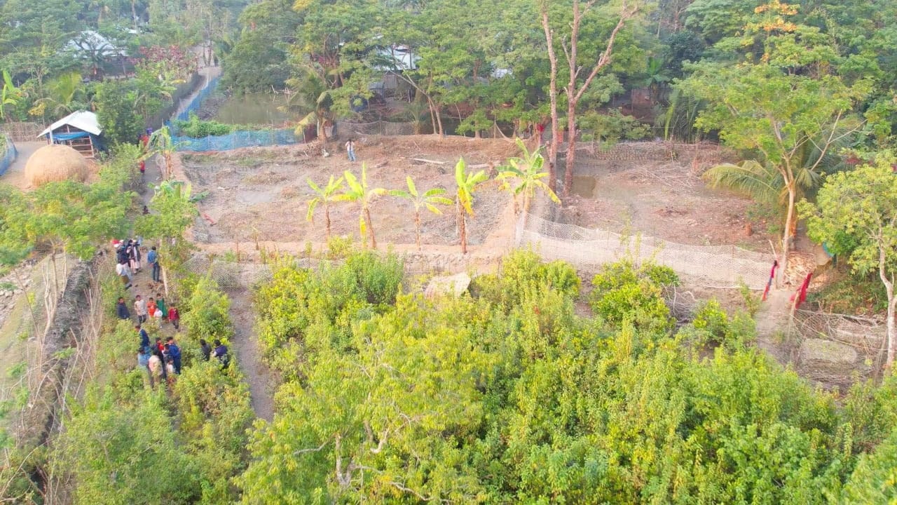 একরের পর একর বনের গাছ কেটে গড়ে তোলা হচ্ছে ঘরবাড়ি। ছবি : কালবেলা