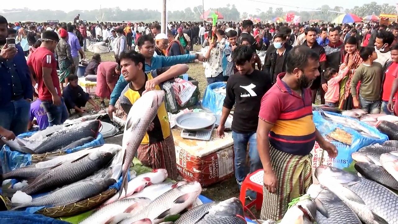 মেলার প্রধান আকর্ষণ বিশাল আকৃতির মাছ। ছবি : কালবেলা