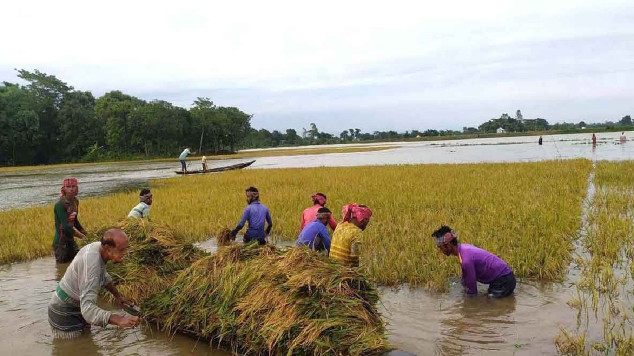প্রতীকী ছবি।