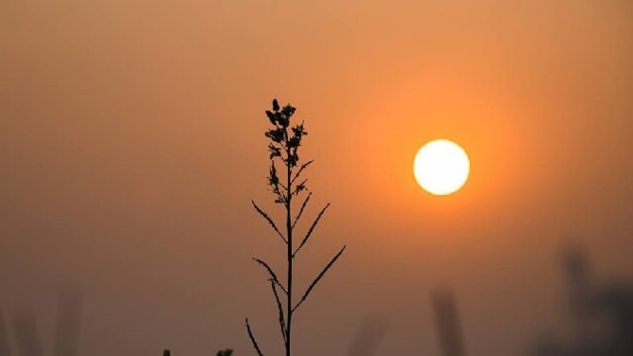 শীতের সকালের সূর্য। ছবি : সংগৃহীত