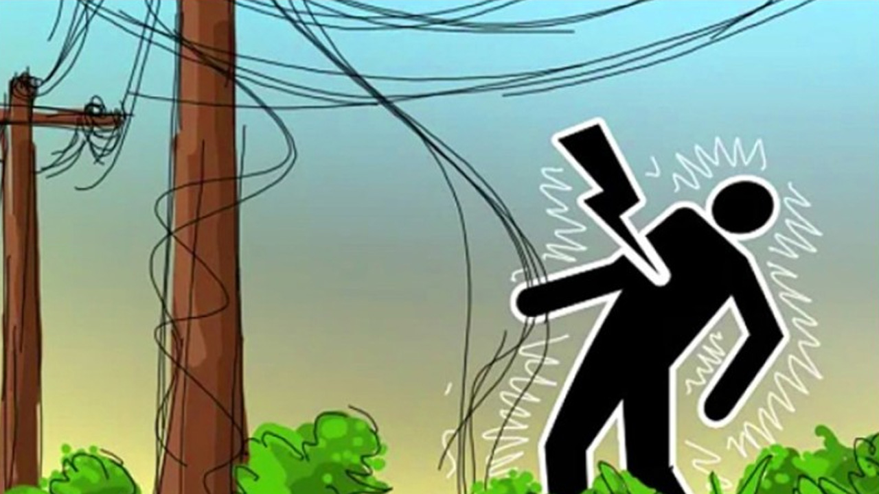 ছবি : সংগৃহীত