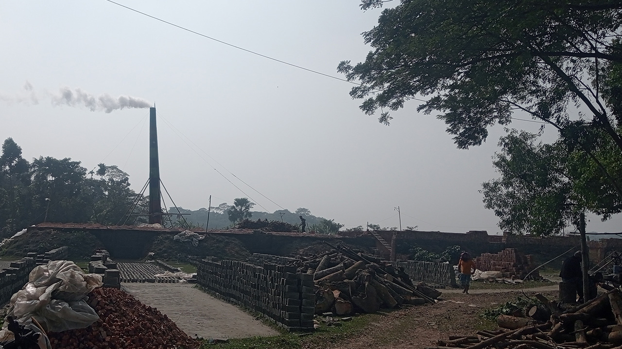 বনের কাঠে জ্বলছে ইটভাটা। ছবি : কালবেলা