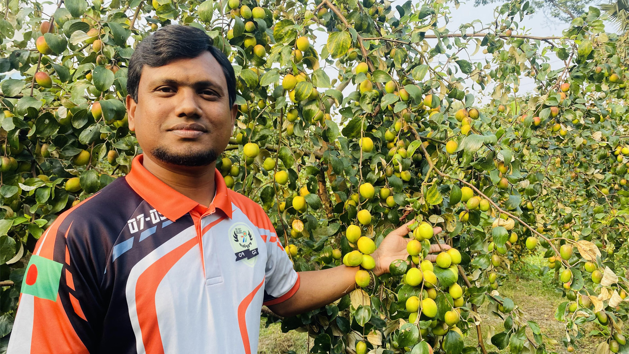 বরই চাষ করে সফল রাসেল মিয়া। ছবি : কালবেলা