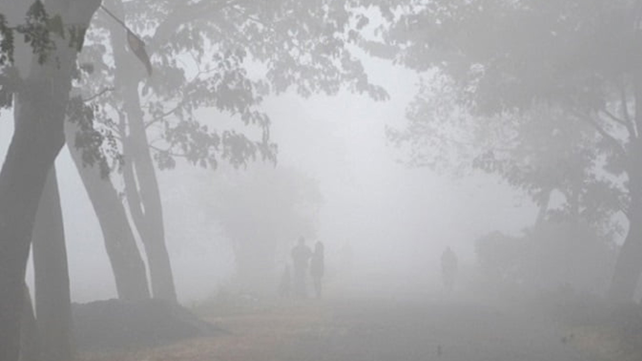 পুরোনো ছবি