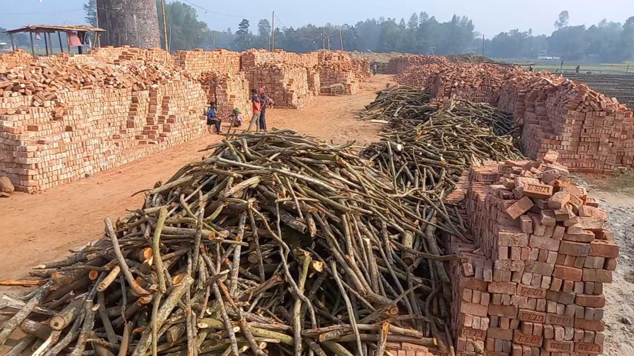 শেরপুর জেলা প্রশাসনের অভিযানে বন্ধ করে দেওয়া হয় অবৈধ ইটভাটা। ছবি : কালবেলা