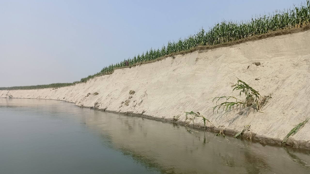 তিস্তার ভাঙনে বিলীন শস্যক্ষেত।
