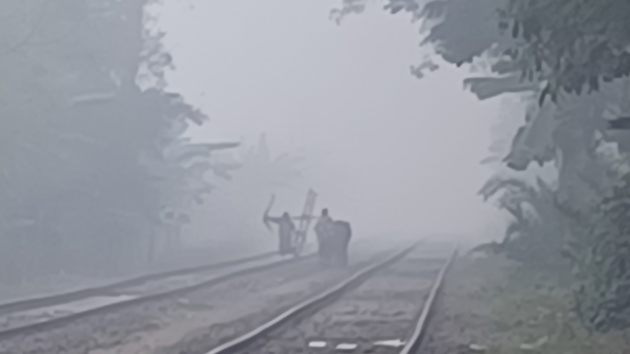 চুয়াডাঙ্গায় বেলা বাড়লেও ছিল ঘন কুয়াশা। ছবি : কালবেলা
