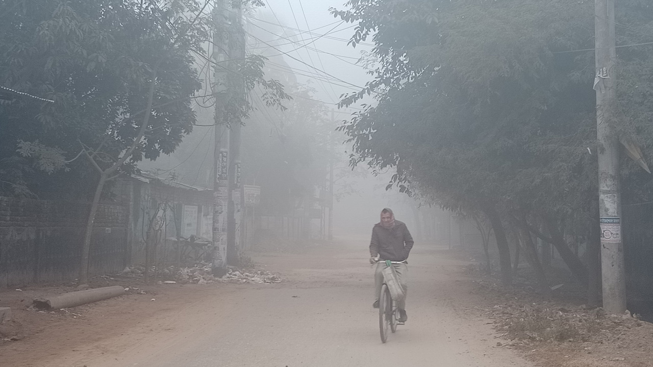 দিনাজপুরে কুয়াশায় ঢাকা সড়ক। ছবি : কালবেলা