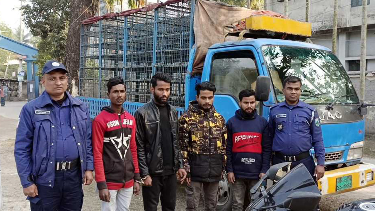 নওগাঁর রাণীনগরে খামার থেকে ৫০০ হাঁস ডাকাতি করে ঢাকায় গ্রেপ্তার হয় ডাকাত দল। ছবি : কালবেলা