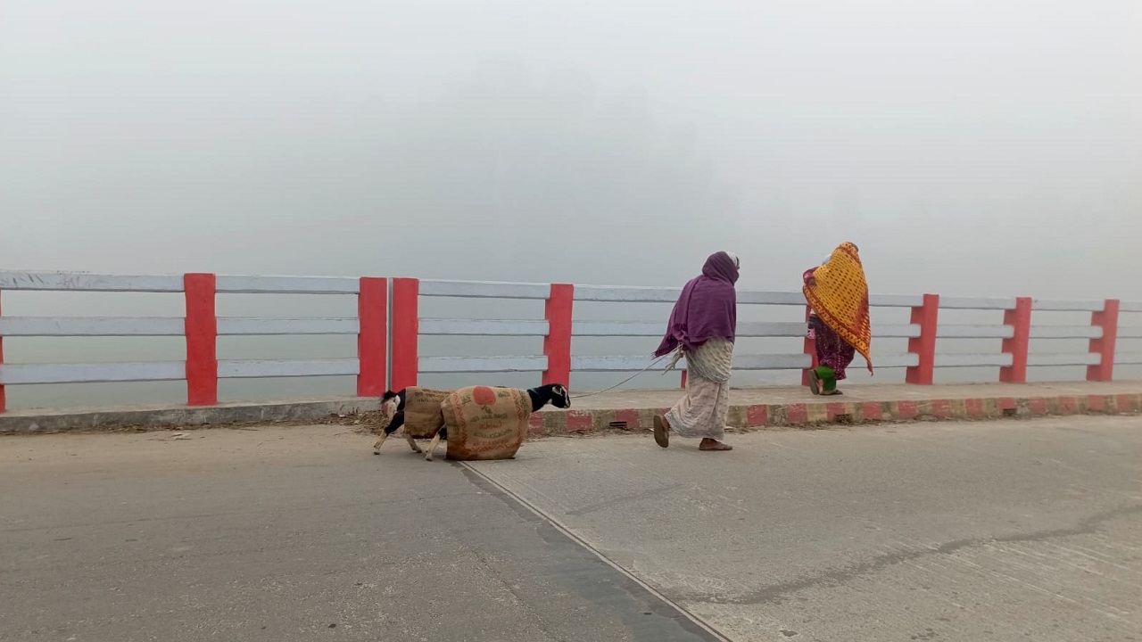 দিনাজপুরের খানসামায় শীতে বিপর্যস্ত জনজীবন। ছবি : কালবেলা