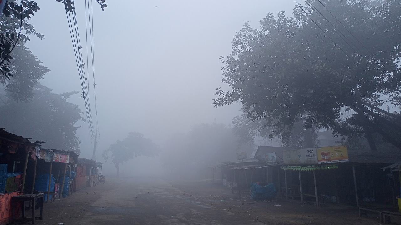 কুয়াশায় ঢাকা সড়ক। ছবি : কালবেলা