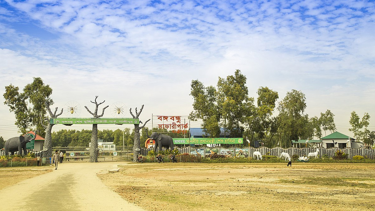সাফারি পার্ক। ছবি : সংগৃহীত