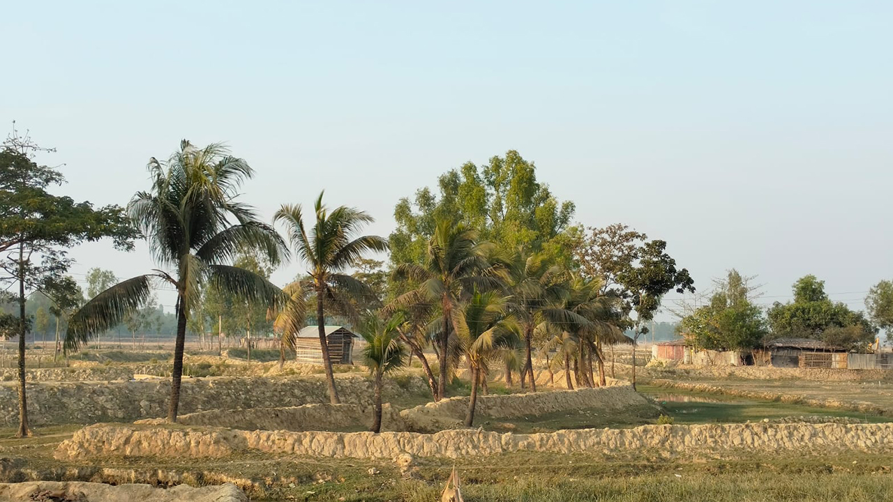 বাংলাদেশ-মিয়ানমার সীমান্তের উলুবুনিয়া এলাকার একটি খণ্ডচিত্র। ছবি : কালবেলা