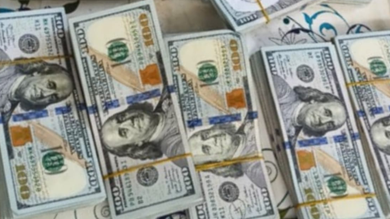 বেনাপোল চেকপোস্ট ইমিগ্রেশনে উদ্ধারকৃত মার্কিন ডলার। ছবি : কালবেলা