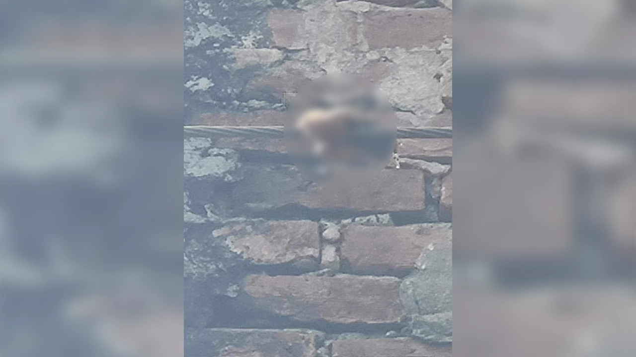 বিদ্যুতের তারে ঝুলে আছে শিশুর হাত। ছবি : কালবেলা