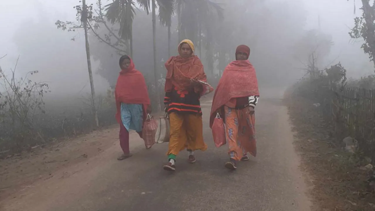 পুরোনো ছবি
