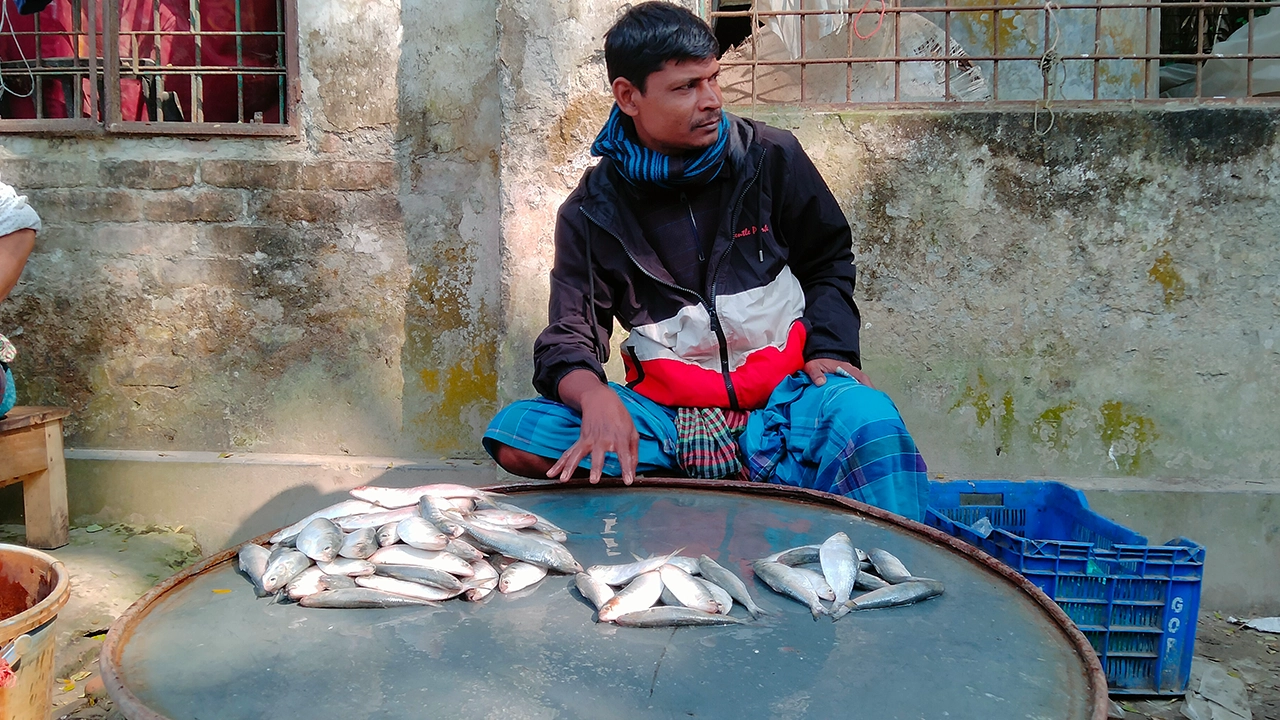 শরীয়তপুরে প্রকাশেই জাটকা বিক্রি করছেন এক বিক্রেতা। ছবি : কালবেলা