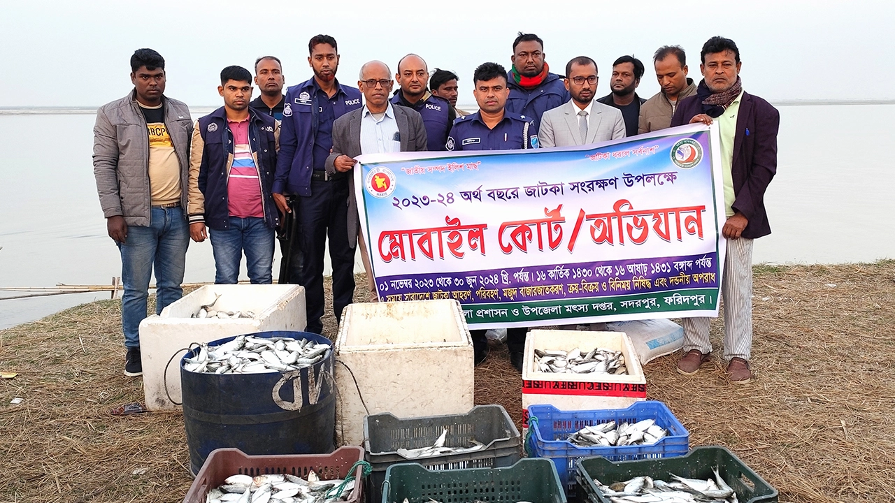অভিযানে ৩টি নৌকা, ৮ হাজার মিটার কারেন্ট জাল ও ২০০ কেজি জাটকা জব্দ করা হয়। ছবি : কালবেলা