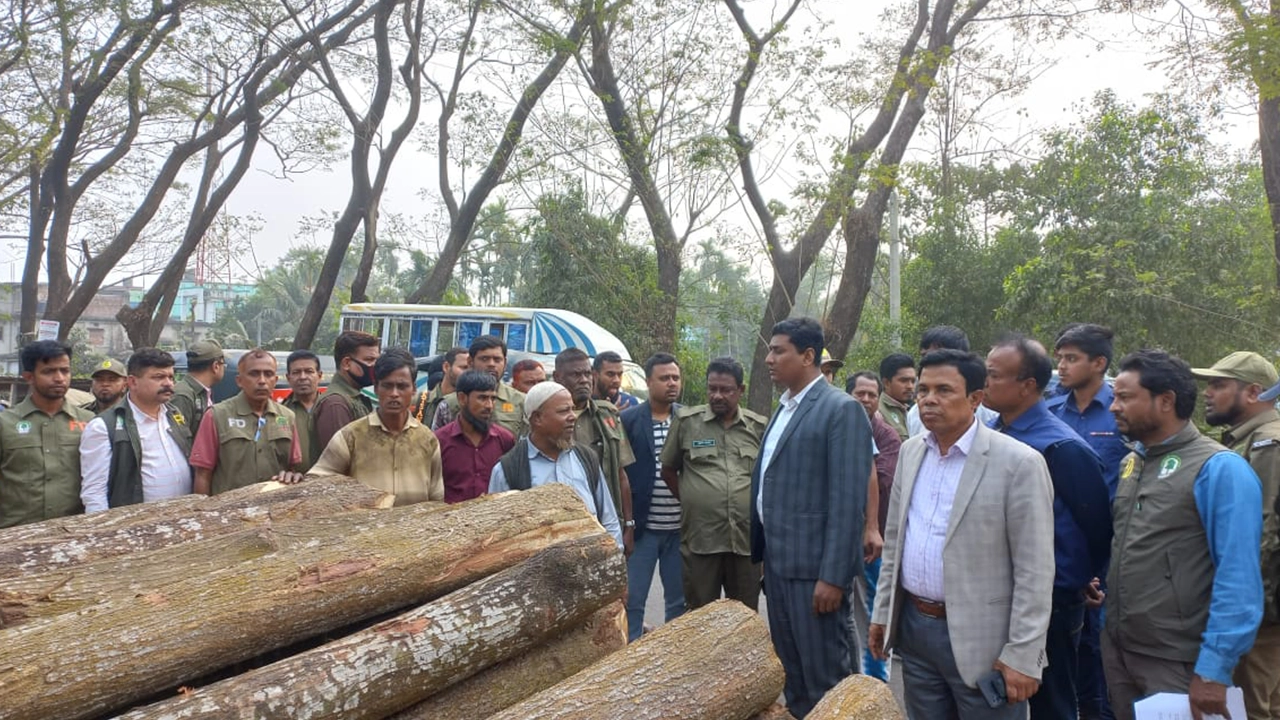 করাতকলে অভিযান চালান প্রশাসনের কর্মকর্তারা। ছবি : কালবেলা