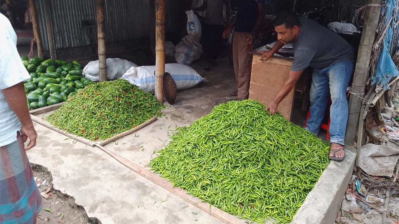 দিনাজপুরে কাঁচা মরিচের বাজার। ছবি : কালবেলা