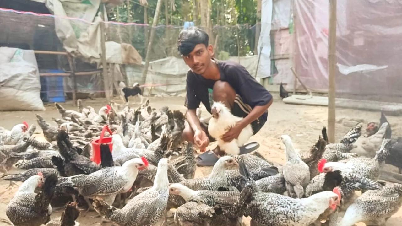 নিজের পালিত মুরগিসহ উদ্যোক্তা অনিক। ছবি : কালবেলা