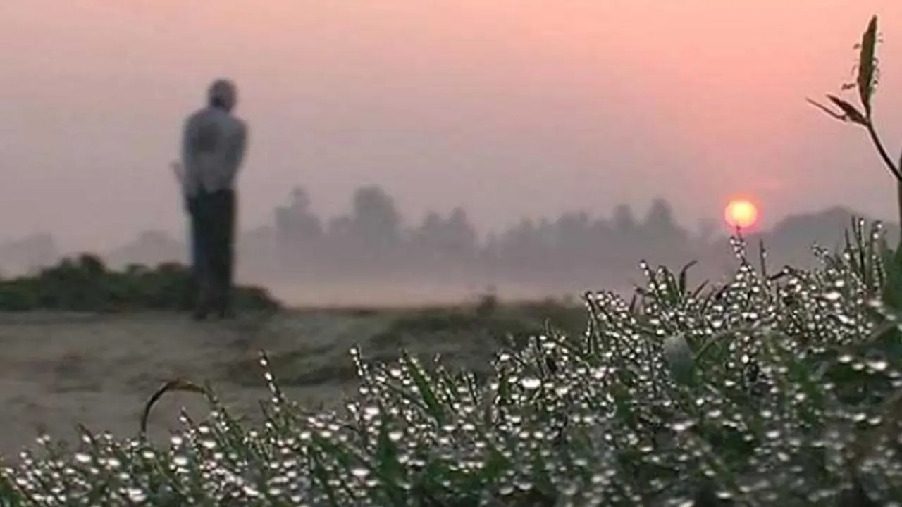 শীতের সকাল। ছবি : সংগৃহীত
