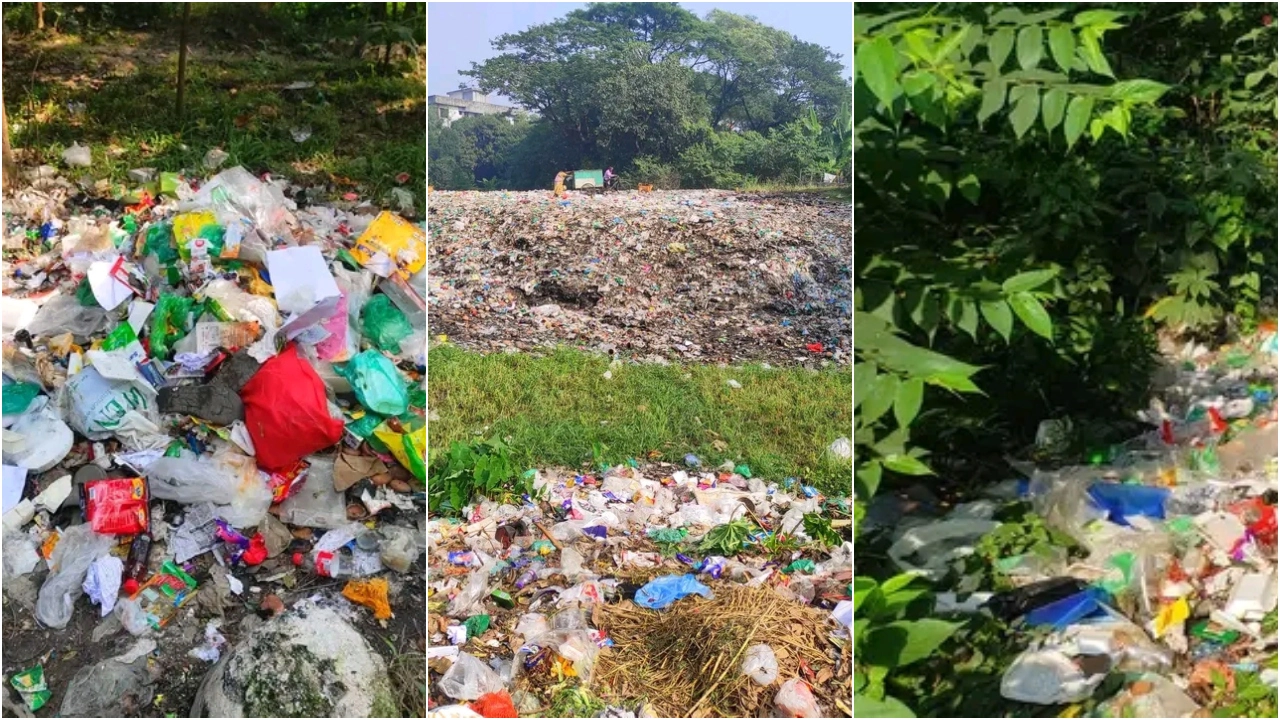 জাহাঙ্গীরনগর বিশ্ববিদ্যালয়ে যত্রতত্র ফেলা হচ্ছে ময়লা। ছবি : ওয়াসিফ ফুয়াদ