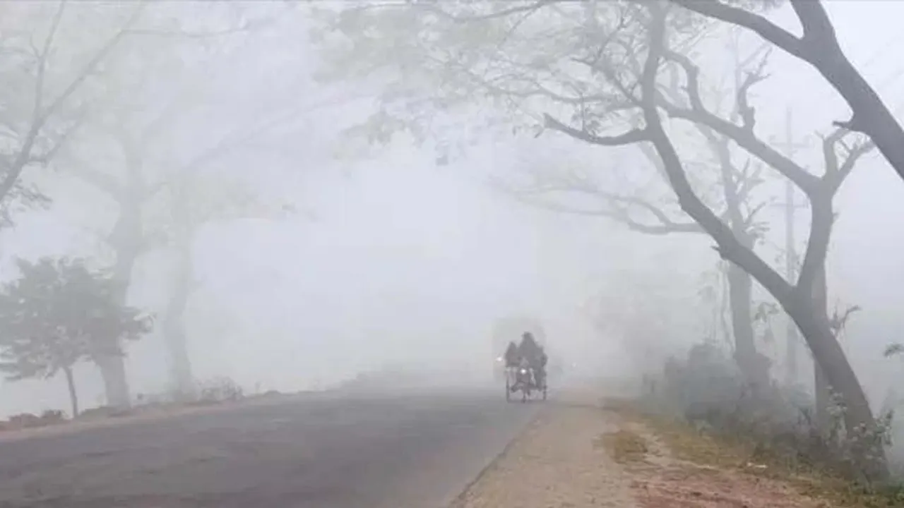 দরজায় কড়া নাড়ছে ফাল্গুন, শীত কি বিদায় নিচ্ছে?