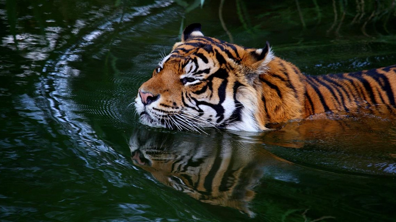 প্রতীকী ছবি।