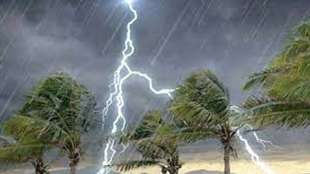 ছবি : সংগৃহীত